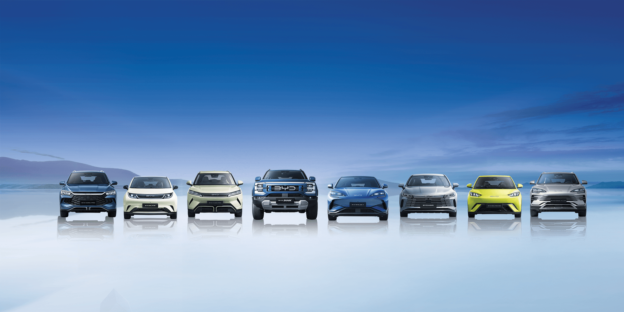 BYD #1